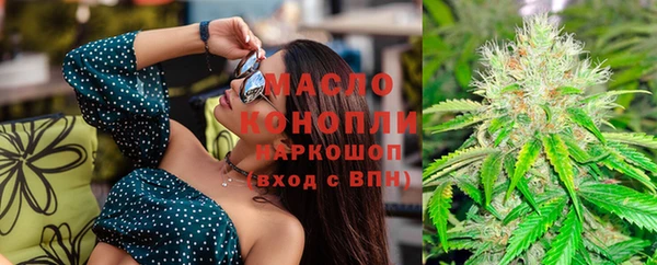 крисы Наволоки