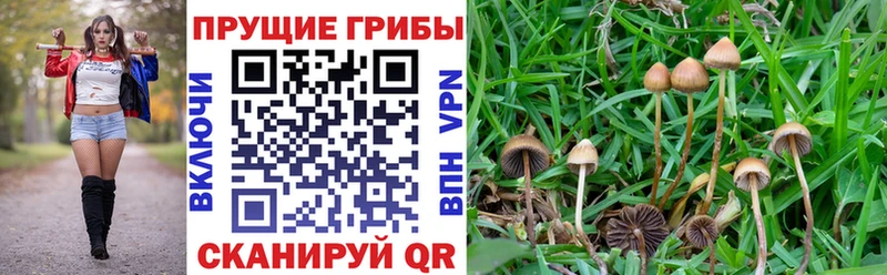 Галлюциногенные грибы MAGIC MUSHROOMS Мирный
