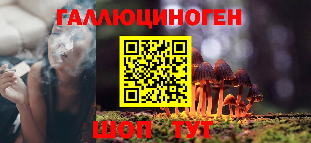 Псилоцибиновые грибы прущие грибы Мирный
